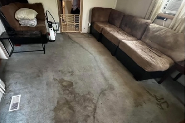 Carpet Cleaning Billings MT