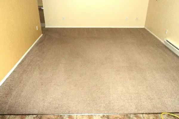Carpet Cleaning After