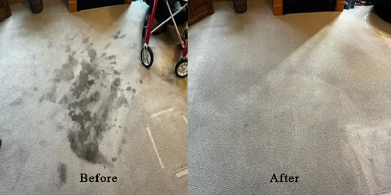 Professional Cleaning Company Near Me