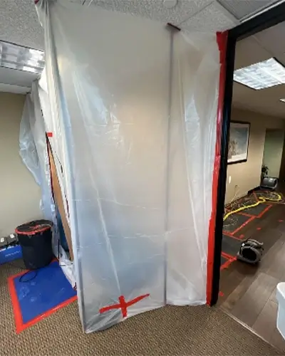 Mold removal, mold remediation - Billings, MT